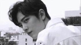 肖战事件娱乐圈吃瓜视频,肖战事件吃瓜视频全解析